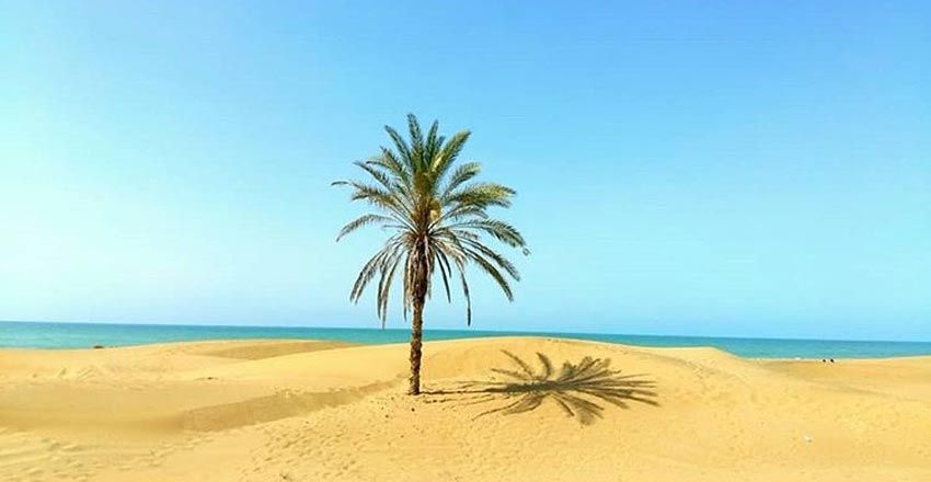 مجله گردشگری تور طبیعتگردی شیراز یک روزه و چند روزه با شیدرخ تراول تور طبیعت اطراف شیراز / بهترین تور طبیعت گردی