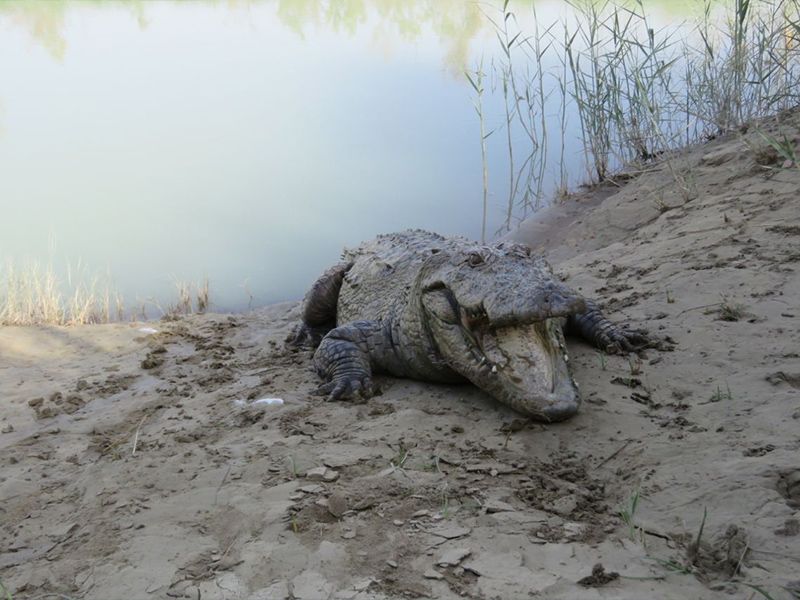 تور چابهار از شیراز