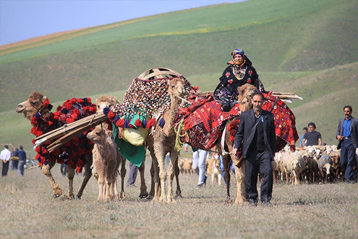 تور کوچ,تور کوچ عشایر,تور کوچ عشایر شیدرخ تراول,تور عشایر,عشایرگردیتور کوچ,تور کوچ عشایر,تور کوچ عشایر شیدرخ تراول,تور عشایر,عشایرگردی