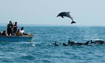 Тур ҷазираи Киш аз Тоҷикистон Kish Island Tour from TajikistanТур ҷазираи Киш аз Тоҷикистон Kish Island Tour from Tajikistan