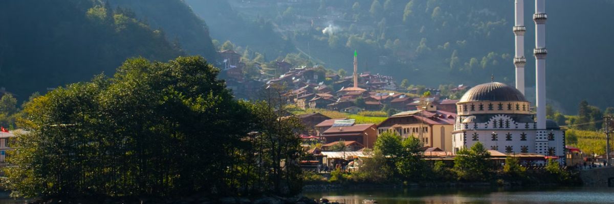 img-website